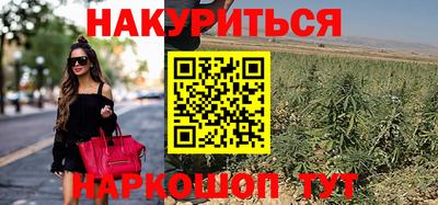 скорость Можга