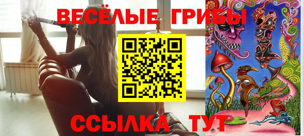 Псилоцибиновые грибы MAGIC MUSHROOMS  Вход с VPN  Ступино 